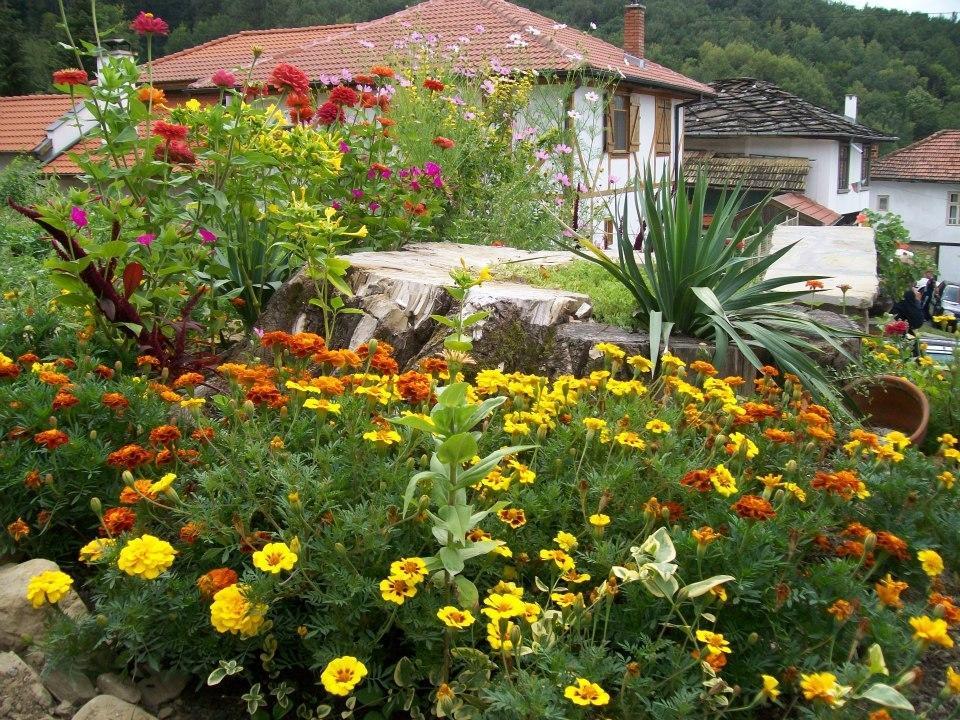 Staroto Shkolo House - Rooms For Guests Subotkovtsi Dış mekan fotoğraf